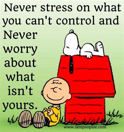 Funny Quotes About Stress And Worry - ShortQuotes.cc