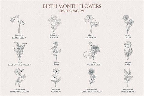 Birth Month Flowers Drawing | ubicaciondepersonas.cdmx.gob.mx