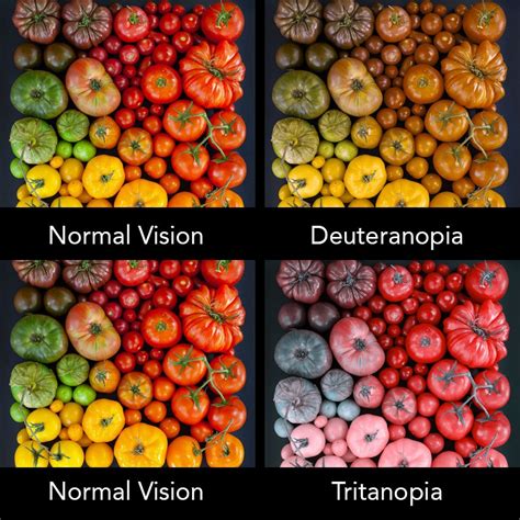 Designing for Color Blindness-A Look Through a Different Set of Eyes ...