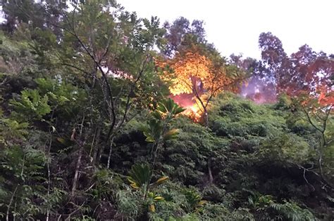 Brush Fire Chars 5 Acres in East Maui : Maui Now