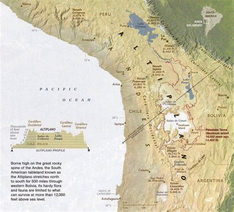 Altiplano in Western Bolivia Map - bolivia • mappery