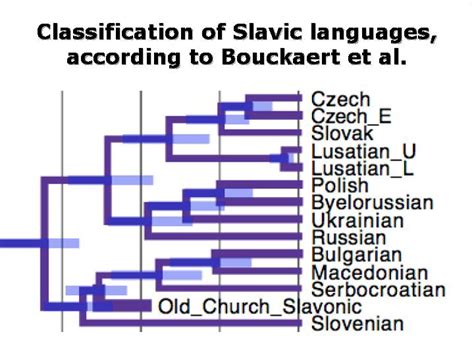 10 Which of the Follow Is a Slavic Language