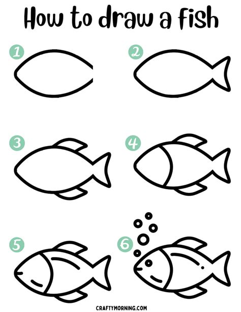 How To Draw Fish Easy Step By Step At How To Draw - vrogue.co