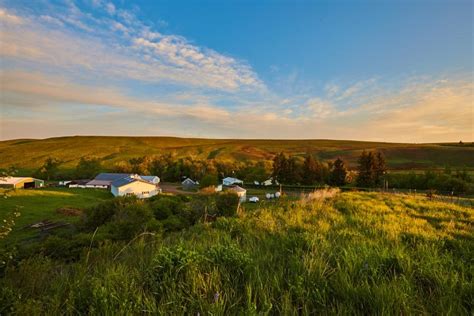 Ranch Worker needed at Cow/Calf Ranch in Montana - RanchWork.com