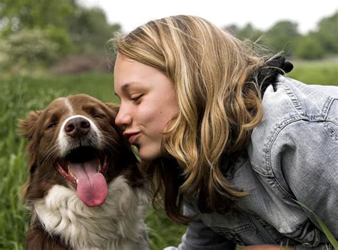 Do dogs respond to kisses? What to Know – KeepingDog