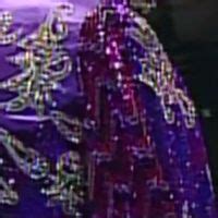 CrazyTights | Ric Flair (robes) - Purple