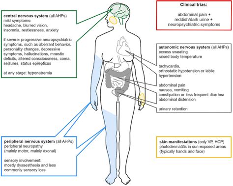 Overview of the clinical neurological manifestations of acute hepatic... | Download Scientific ...