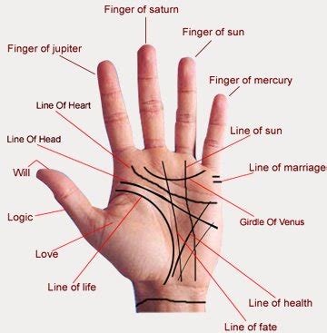 Astrology and Palmistry Portal: Palmistry Hands Charts