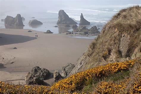 Sea stacks on Oregon Coast – Geology Pics