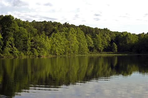 Best Hikes in Hoosier National Forest (IN) - Trailhead Traveler