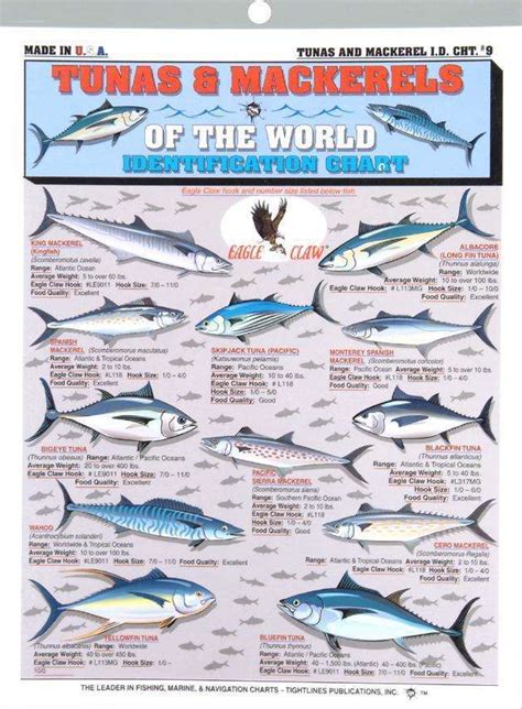 Tuna Species Chart: A Visual Reference of Charts | Chart Master