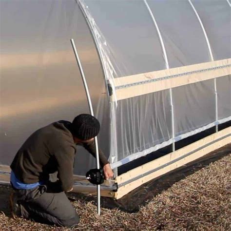 Best Clear Plastic Sheets for Greenhouses - Greenhouse Info