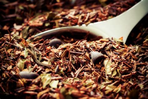 Seeing Red: Exploring South Africa’s Rooibos Tea Route | AFKTravel