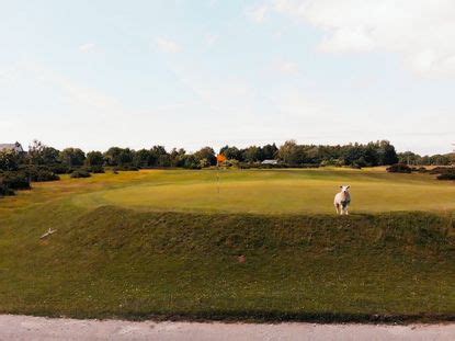 Holywell Golf Club Course Review - The Average Golfer | Golf Monthly