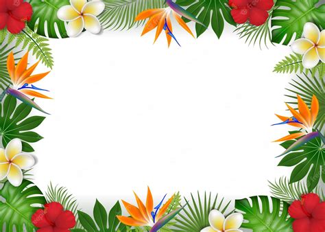 Free hawaiian borders, Download Free hawaiian borders png images, Free ClipArts on Clipart Library