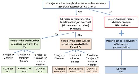 New Diagnostic Approach to Arrhythmogenic Cardiomyopathy: The Padua Criteria