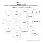 Identifying States of Matter Worksheet by Teach Simple