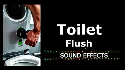 Toilet Flush Sound Effects - YouTube