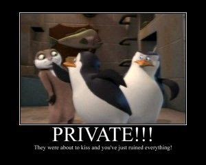 Penguin Madagascar 3 Quotes. QuotesGram | Penguins of madagascar, Penguins, Madagascar