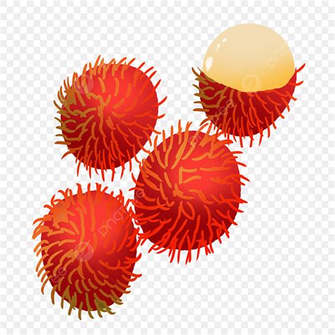 Gambar Buah Rambutan – pulp