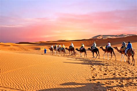 4 Must-Visit Regions in Morocco's Desert | kimkim