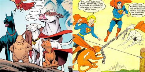 The 10 Best Legion Of Super-Pets Storylines From The Comics