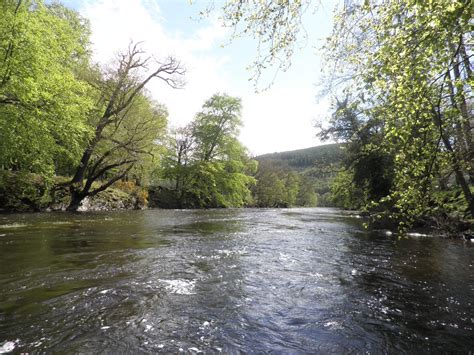 The River Beat: The River Dee, North Wales