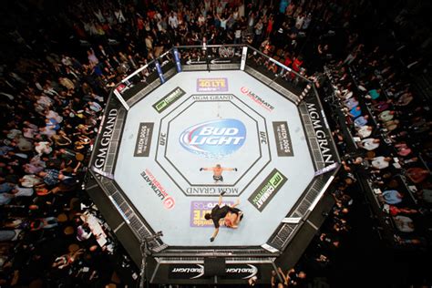 PRO MMA® 30' X 30' Official Octagon MMA Cage Complete - PRO FIGHT SHOP