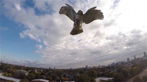 Nano drone swarm: Advanced tiny quadrotors stabilize mid-air, fly in ...