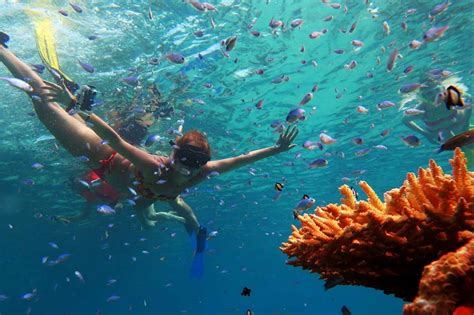 Morning snorkeling - Nosy Be, Madagascar | SeePlaces