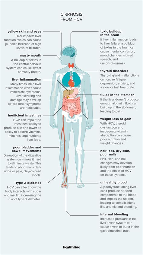 The Effects of Hepatitis C on Your Body