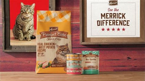 12 Best Cat Food Brands: Keep Health of Your Cats and Kittens - Cherry Picks