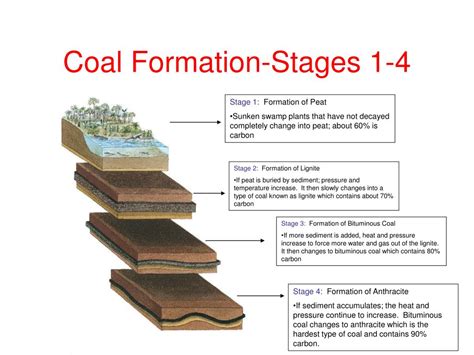 Coal Formation Stages