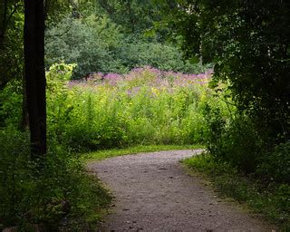 Carpenter Lake Nature Preserve | The path through the woods … | Flickr