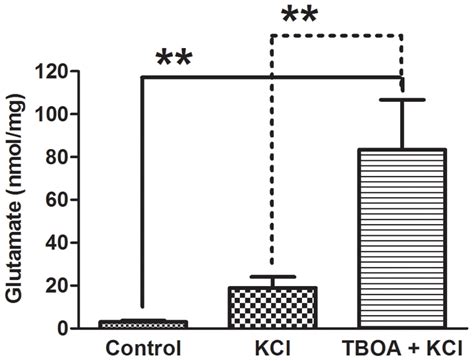 Glutamate assay of dissociated DRG cultures. Colorimetric assay shows ...