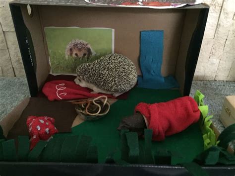 Hedgehog habitat for bigger hogs! Made by my 5 year old almost by ...