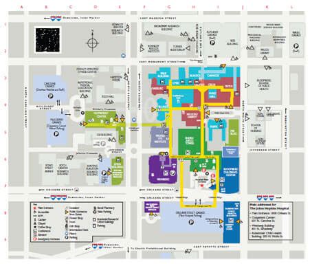 Johns Hopkins Hospital Campus Map – Map Vector