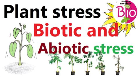 Biotic and Abiotic Stresses in Plants by Simply The Best BIO - YouTube