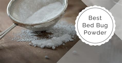 5 Best Bed Bug Powder - Pest Survival Guide