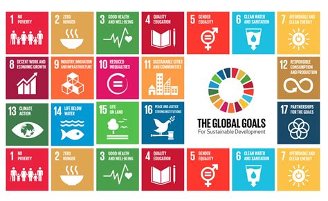 How can companies use the UN Sustainable Development Goals for ...