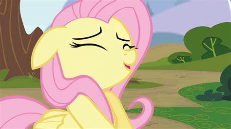 Edited Scene of Fluttershy | My Little Pony: Friendship is Magic | Know Your Meme