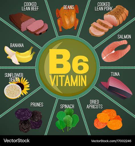 Vitamin b6 foods Royalty Free Vector Image - VectorStock