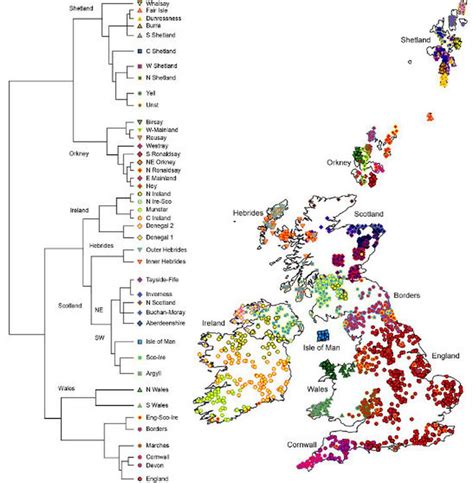 Scotland's genetic landscape reflects Dark Age populations - BBC News