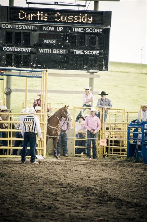 Rodeo and cowboys editorial image. Image of american - 28945985