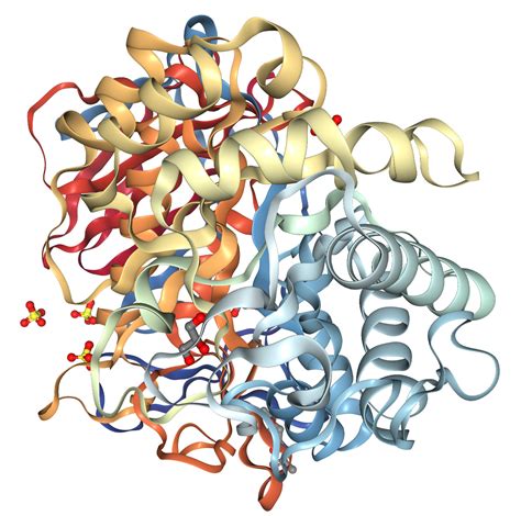 Glucocerebrosidase And Its Relevance To Parkinson Disease, 49% OFF