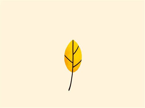 Leaf shape transformation by Sasha Kolesnik on Dribbble
