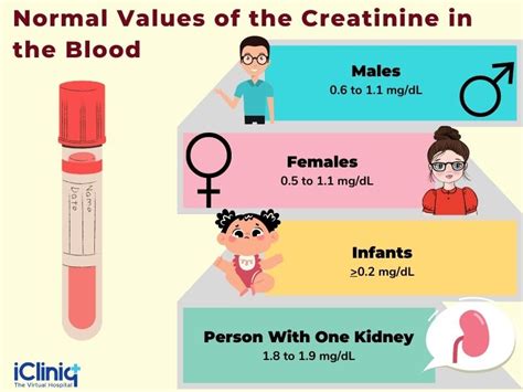 How high can creatinine go: Creatinine test – Mayo Clinic