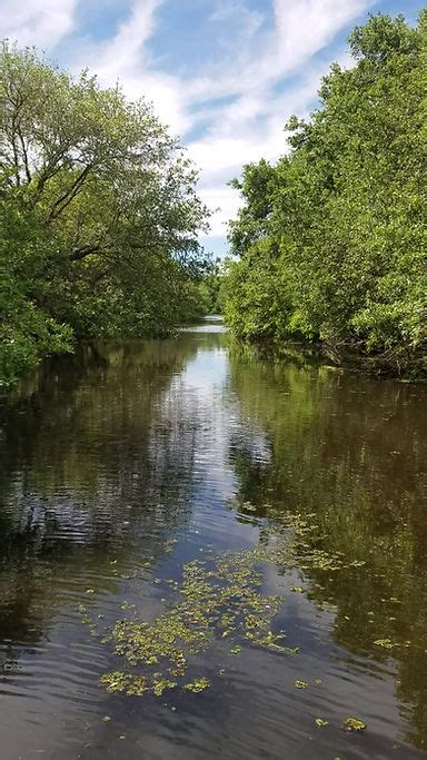 Authentic, Personal Bayou Tours | New Orleans | Happiness Bayou Tours