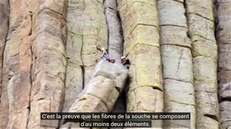 Les Arbres Géants Fossilisés : Théorie et Compilations d'informations