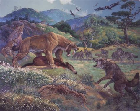 canis dirus - dirus wolf - lobo huargo | Prehistoric animals, Ancient ...